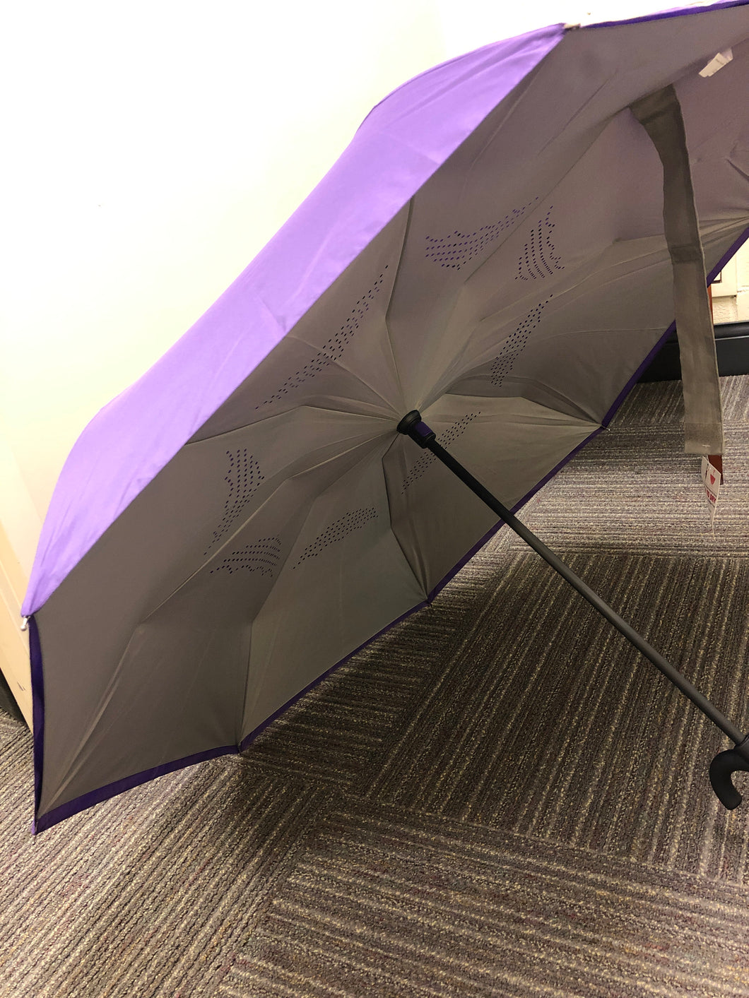 Umbrella-Vice Versa Grey/Purple